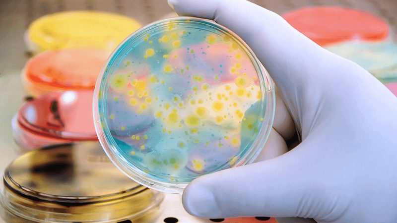 生物实验室耗材选对，实验成功一半**