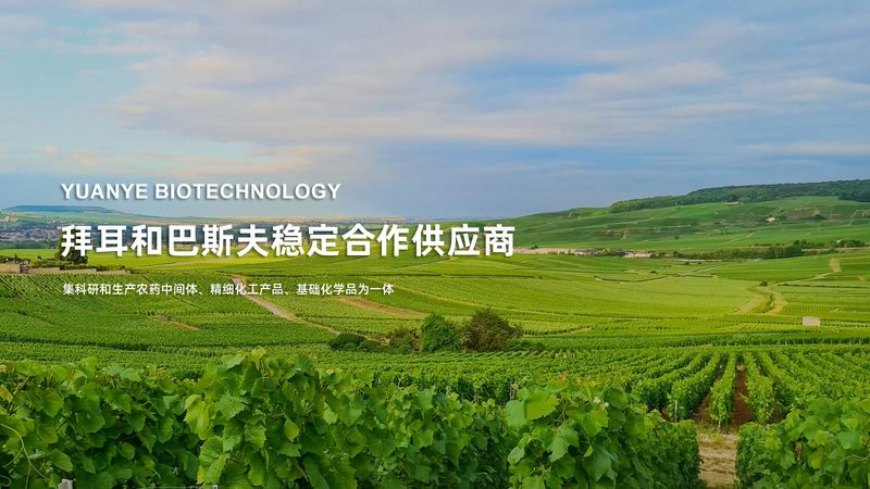 医院做PCR检测要等几个小时