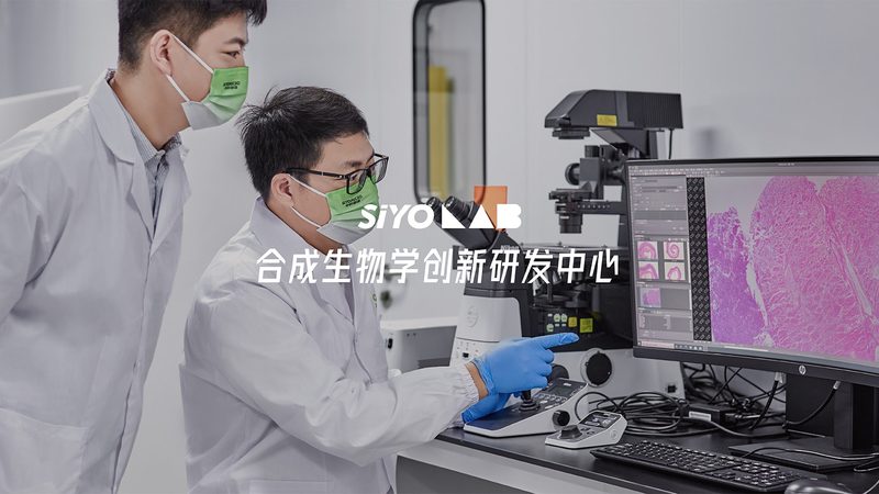 全基因组测序：揭秘成都地区测序服务价格之谜**
