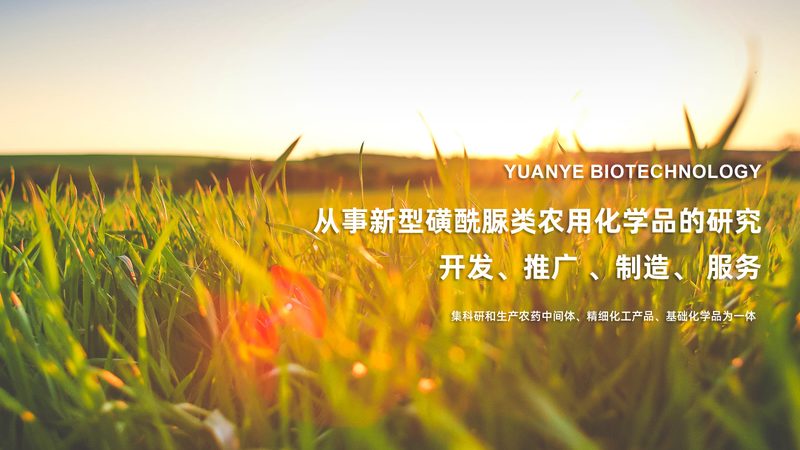 无菌制剂外包，为什么生物医药企业开始“放手