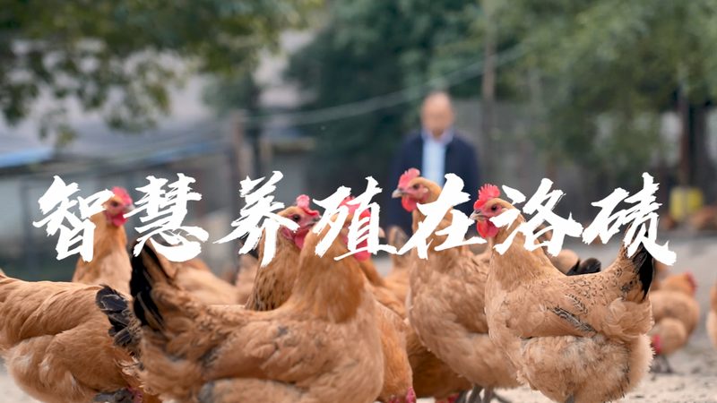 CDMO定制合成的成本构成揭秘