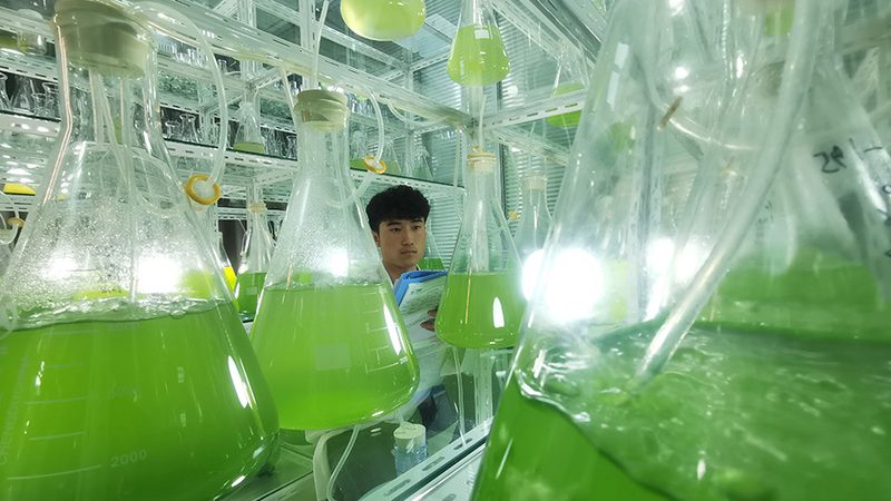 细胞工厂参数解析：北京厂家如何满足生物制药需求**